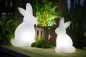 Preview: Solarleuchte Osterhase