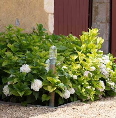 grüne Gartenleuchte maritim