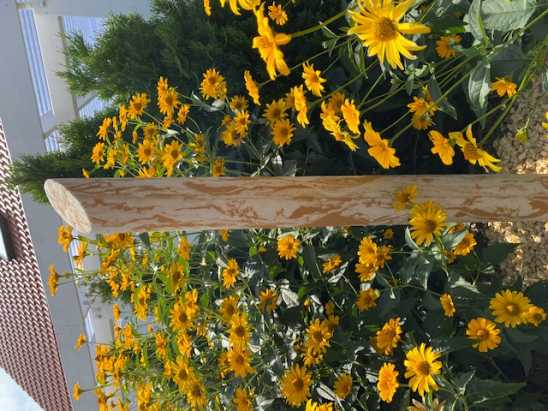 Garten Wegbeleuchtung 140cm