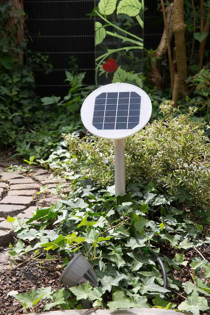 Gartenbeleuchtung-Shop - roter Solar Weihnachtsstern