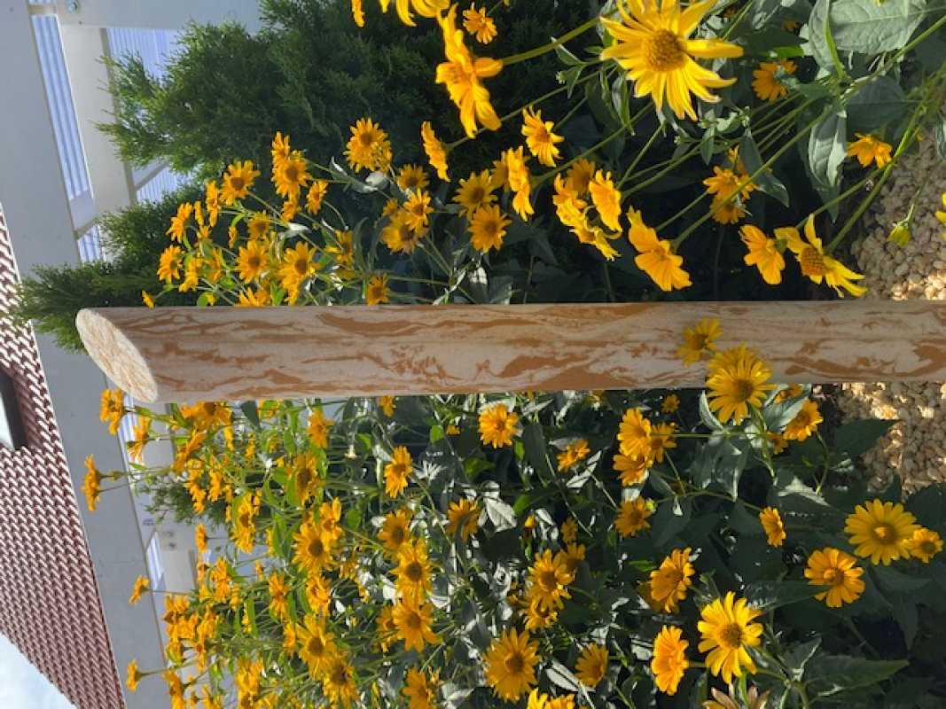 außergewöhnliche Gartenleuchte